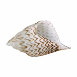 Decorazione Conchiglia in Vetro EDG