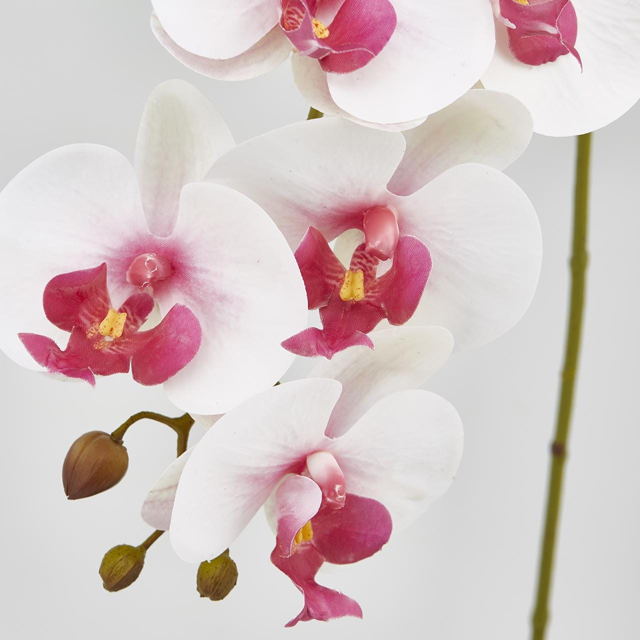 Ramo Orchidea Bianco Rosa H86cm EDG - immagine 3
