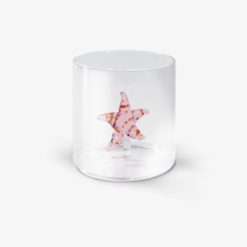 Bicchiere in vetro 250ml Stella Marina WD LIFESTYLE