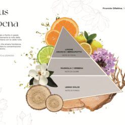 Alternative view of Candela Alchemy Citrus Verbena EDG