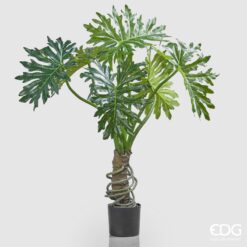 Pianta Filodendro con Vaso 120cm EDG