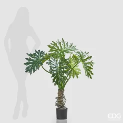 Alternative view of Pianta Filodendro con Vaso 120cm EDG