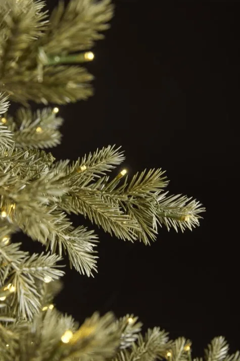 EDG Enzo De Gasperi Albero di Natale Pino Argentato 180 cm con 3000 Led - immagine 3
