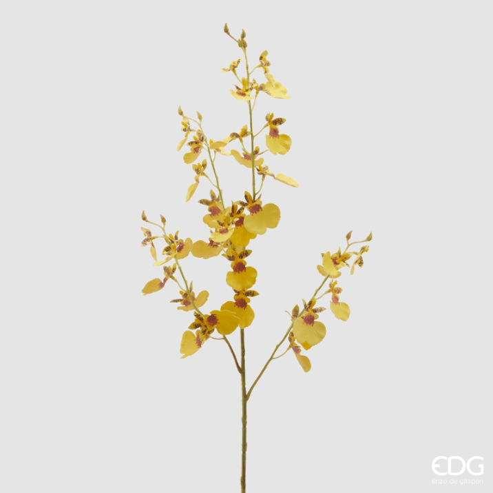 Ramo di Orchidea Oncidium Giallo 80cm EDG
