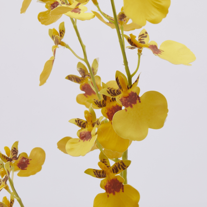 Ramo di Orchidea Oncidium Giallo 80cm EDG - immagine 2