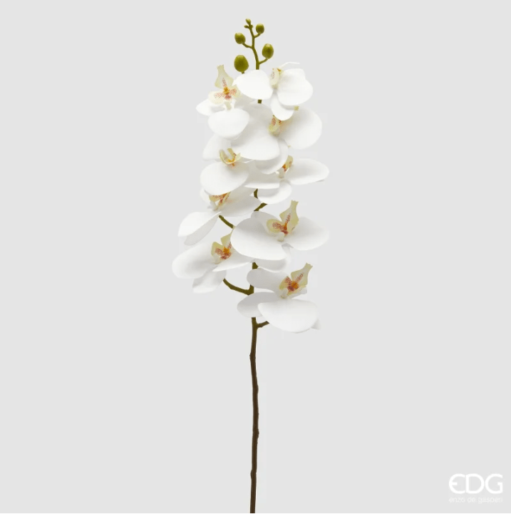 Ramo di Orchidea Bianco 94cm EDG