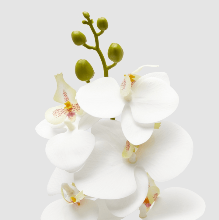 Ramo di Orchidea Bianco 94cm EDG - immagine 2