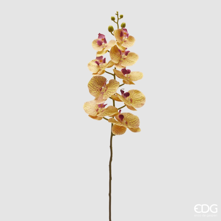 Ramo di Orchidea Giallo 94cm EDG
