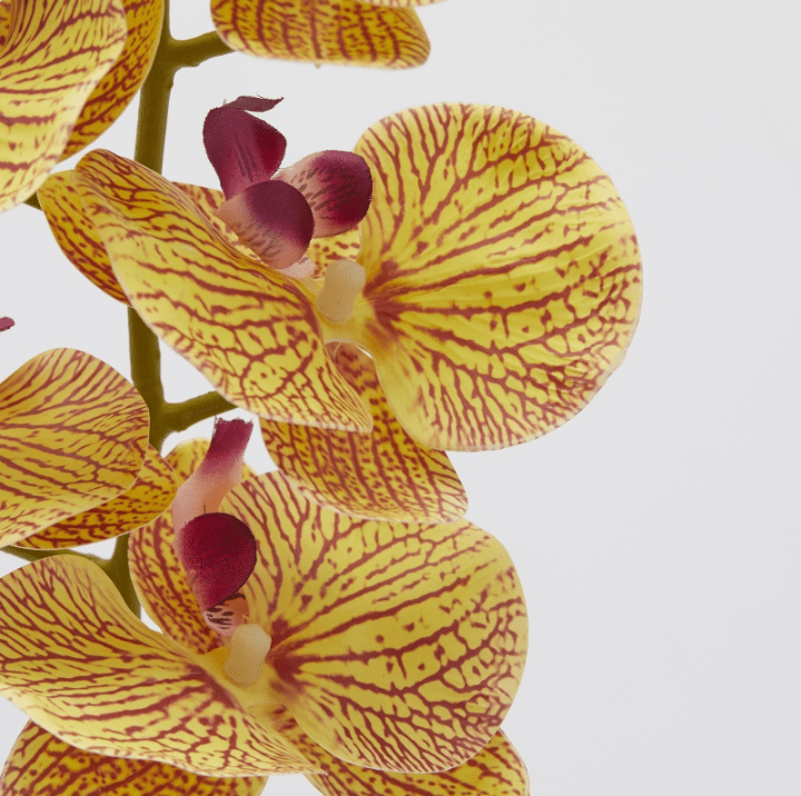 Ramo di Orchidea Giallo 94cm EDG - immagine 2