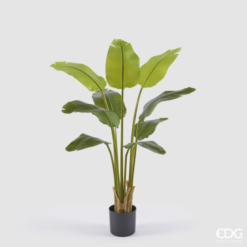 Pianta Artificiale Banano con Vaso 120cm EDG