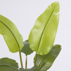 Alternative view of Pianta Artificiale Banano con Vaso 90cm EDG