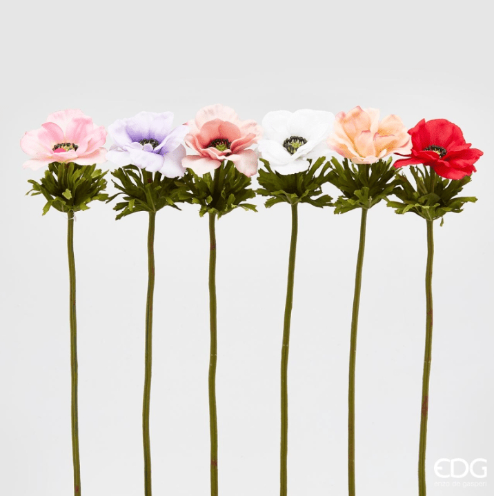 Ramo Anemone 50cm EDG