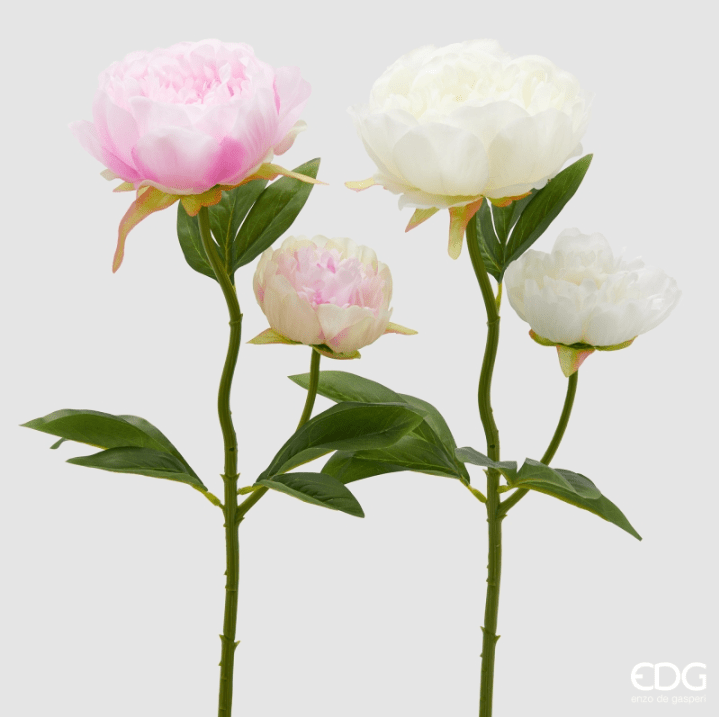 Ramo Peonia Rosa e Bianco EDG
