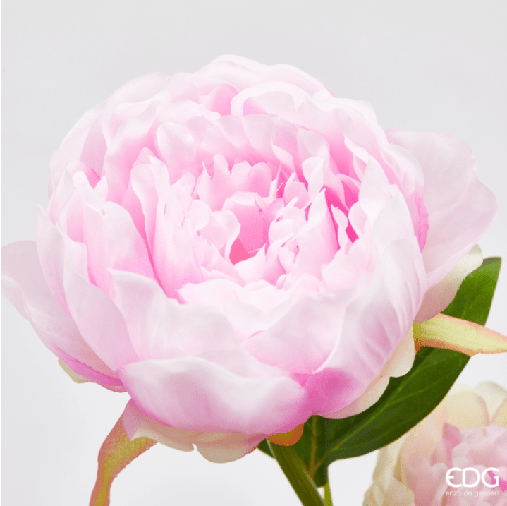 Ramo Peonia Rosa e Bianco EDG - immagine 2