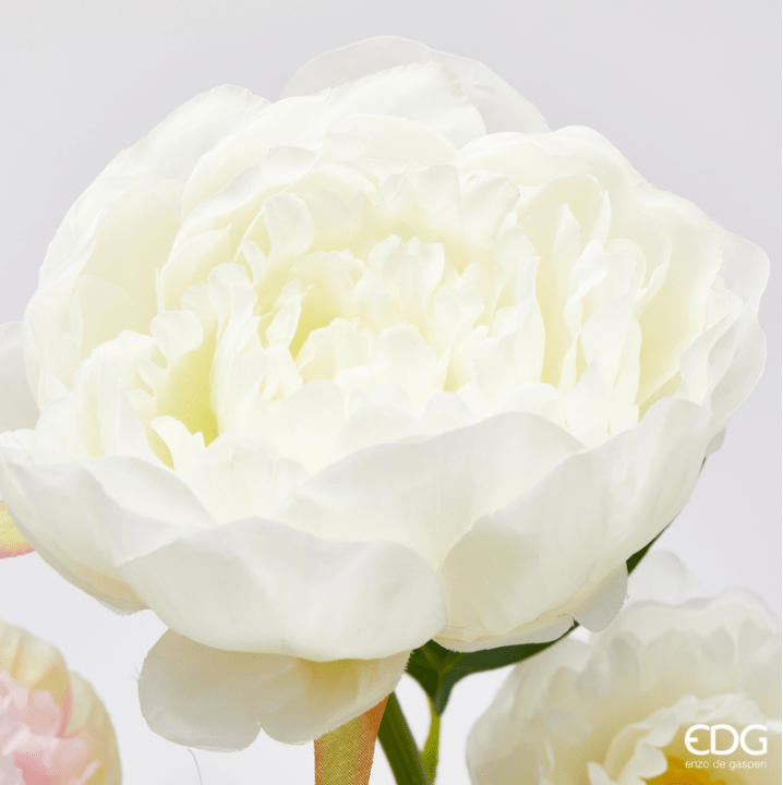 Ramo Peonia Rosa e Bianco EDG - immagine 3