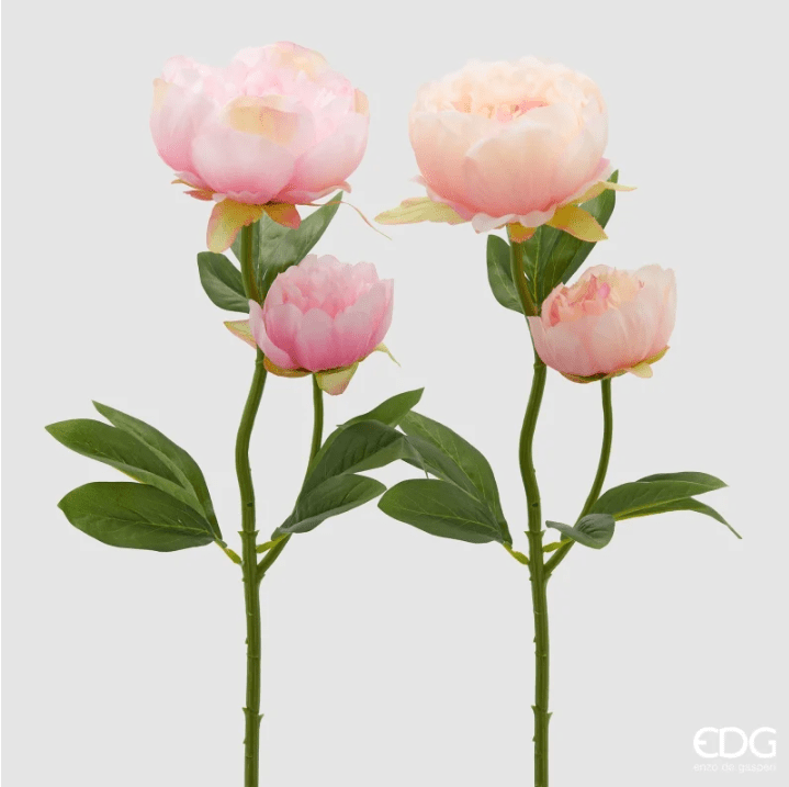 Ramo Peonia Light Peach EDG