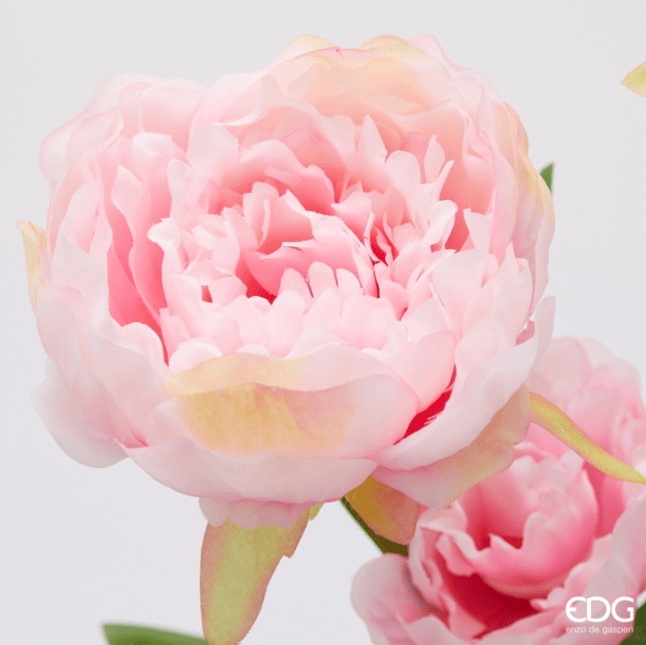 Ramo Peonia Light Peach EDG - immagine 2