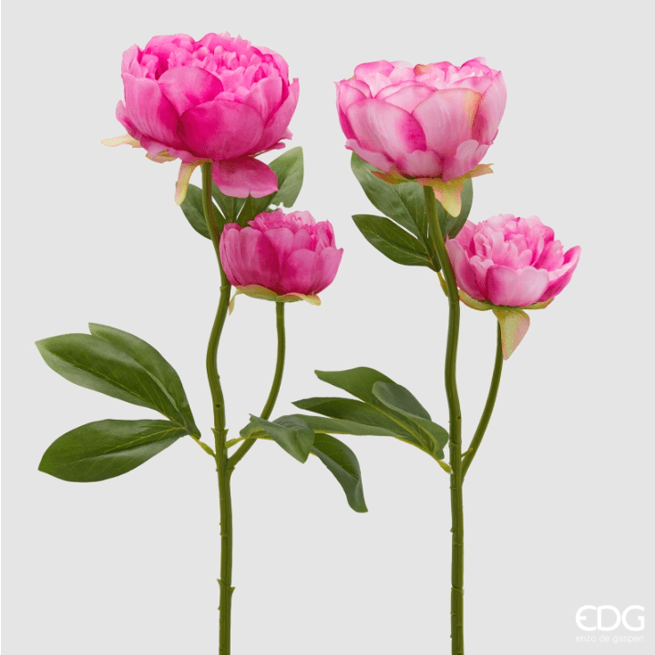 Ramo Peonia Rosa EDG