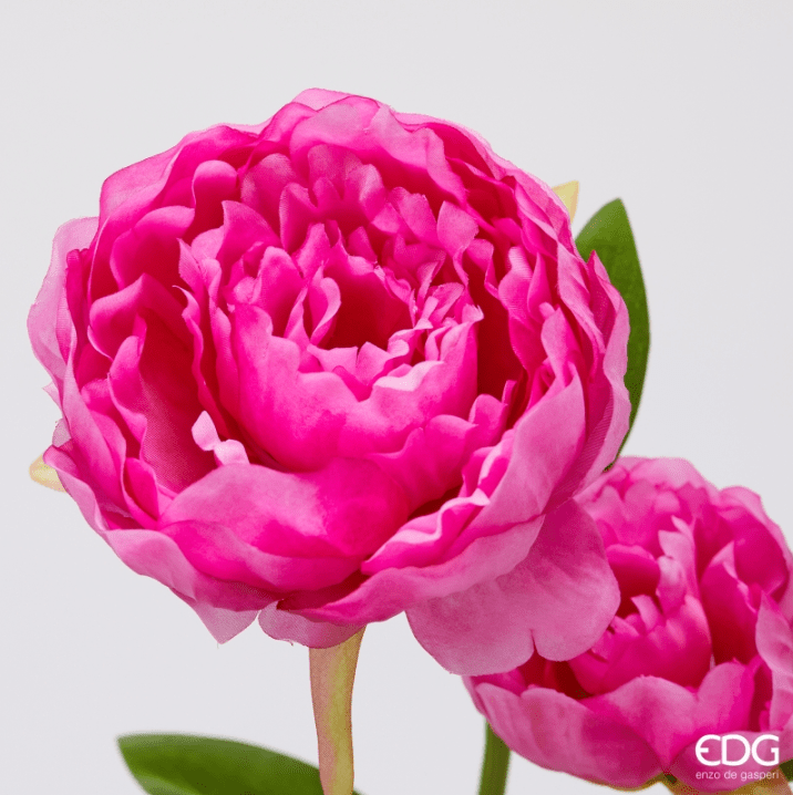 Alternative view of Ramo Peonia Rosa EDG