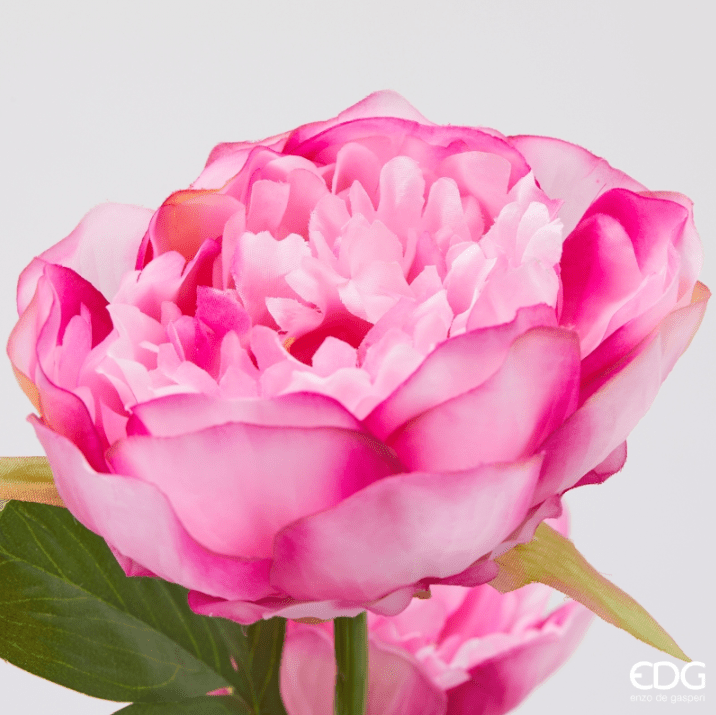 Ramo Peonia Rosa EDG - immagine 3
