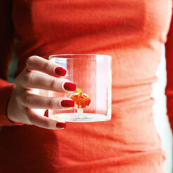 Alternative view of Bicchiere in vetro 250ml Zucca WD LIFESTYLE