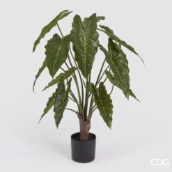 Pianta Alocasia con Vaso 90 cm EDG: pianta artificiale realistica, elegante e sempreverde, ideale per arredare casa e ufficio con stile.