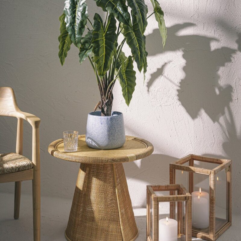 Alternative view of Pianta Alocasia con Vaso 90cm EDG