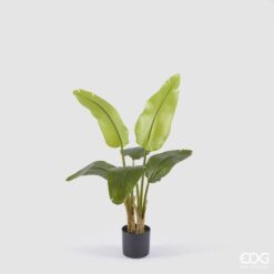Pianta artificiale banano EDG 90 cm con foglie realistiche. Elegante, compatta e perfetta per ogni ambiente.
