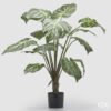 Pianta artificiale Calathea 100 cm EDG: foglie realistiche, stile moderno e zero manutenzione. Perfetta per casa, ufficio e ambienti commerciali.