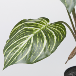 Alternative view of Pianta Artificiale Calathea con Vaso 100cm EDG