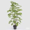 Pianta artificiale Dalbergia 160 cm EDG: fogliame realistico, stile moderno e zero manutenzione. Perfetta per casa e ufficio.