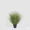 Pianta artificiale Festuca 58 cm EDG: fogliame realistico, stile moderno e zero manutenzione. Perfetta per casa, ufficio e ambienti commerciali.