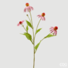 Ramo Rudbeckia Rosa EDG