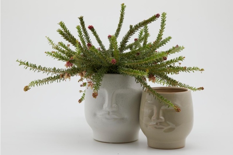 Alternative view of Vaso in Ceramica Testa Bianca 23cm EDG