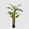 Banano artificiale EDG 150 cm: foglie grandi e realistiche, fusti naturali e stile tropicale. Perfetto per decorazioni moderne e ambienti luminosi.
