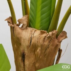 Alternative view of Pianta Artificiale Banano 150cm EDG