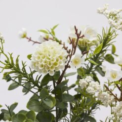 Alternative view of Cespuglio Dalia Bianca EDG