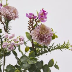 Alternative view of Cespuglio Dalia Fucsia EDG