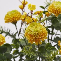 Alternative view of Cespuglio Dalia Gialla EDG