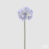 Agapanto artificiale EDG: infiorescenza sferica, petali lilla realistici e stelo modellabile. Elegante e perfetto per composizioni moderne.