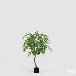 Ficus artificiale EDG: foglie realistiche, tronco naturale e chioma voluminosa. Elegante e senza manutenzione, perfetto per ambienti moderni e raffinati.