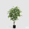 Pianta Ficus artificiale EDG: foglie realistiche, tronco naturale e chioma voluminosa. Elegante e senza manutenzione, perfetto per ambienti moderni