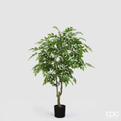 Pianta Ficus artificiale EDG: foglie realistiche, tronco naturale e chioma voluminosa. Elegante e senza manutenzione, perfetto per ambienti moderni