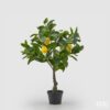 Pianta artificiale di limone EDG: foglie fitte, limoni realistici e stile mediterraneo. Perfetta per decorazioni luminose e ambienti moderni o rustici.