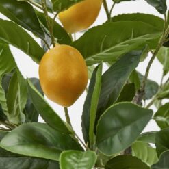 Alternative view of Pianta Artificiale Limoni 70cm EDG