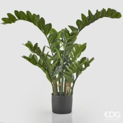 Pianta Zamifolia artificiale EDG: foglie lucide e realistiche, stile moderno e zero manutenzione. Perfetta per ingressi, uffici e ambienti contemporanei.