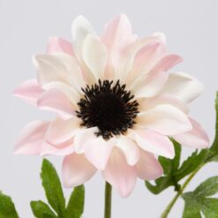 Alternative view of Fiore Artificiale Anemone Rosa 52cm EDG
