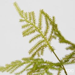 Alternative view of Fiore Artificiale Asparago 71cm EDG