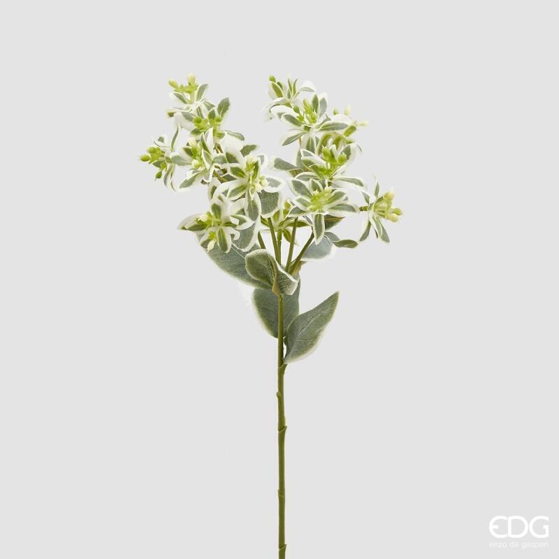 Euforbia artificiale EDG: infiorescenze verdi e bianche, foglie vellutate e stelo modellabile. Elegante, moderna e perfetta per composizioni botaniche.