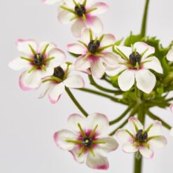 Alternative view of Fiore Artificiale Ornitogallo 67cm EDG